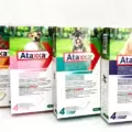 Já conhece os nossos desparasitantes da Ataxxa?
